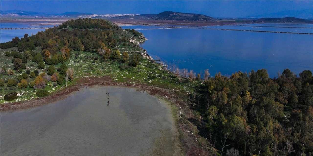 Ormanlar Sayesinde Gediz Havzası'nda Yılda 1 Milyon Metreküp Ek Su Üretilebilir