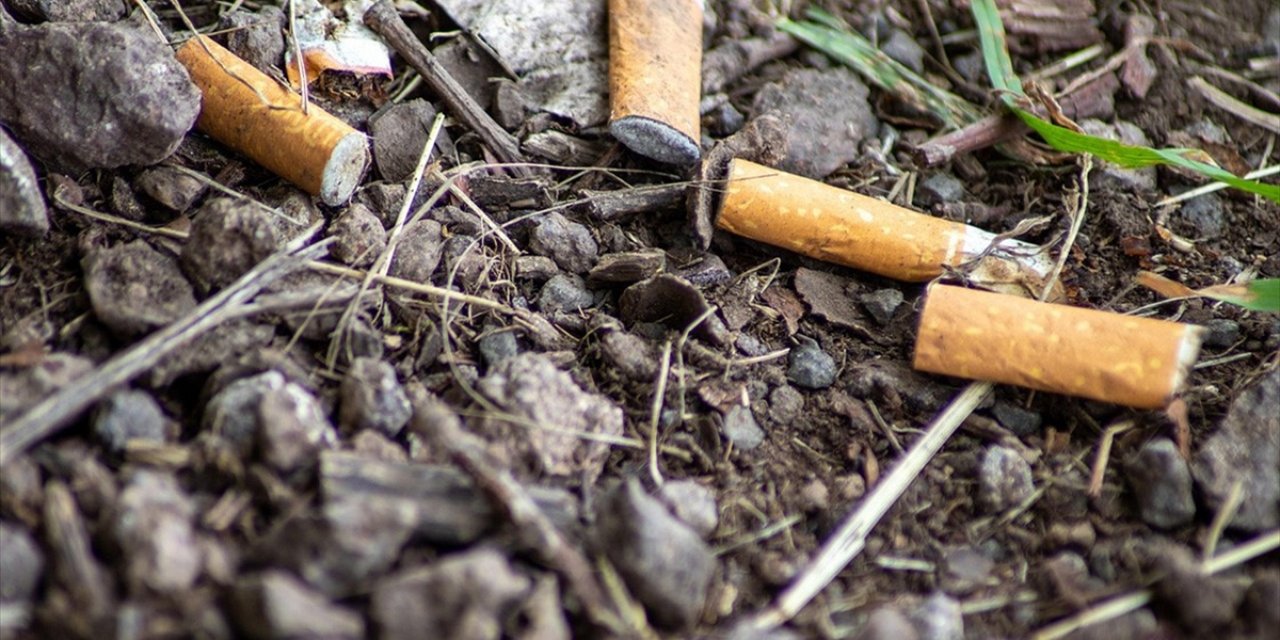 Sigara İzmaritleri İçerdiği Kimyasal Maddelerle Su, Toprak Ve Canlılara Zarar Veriyor