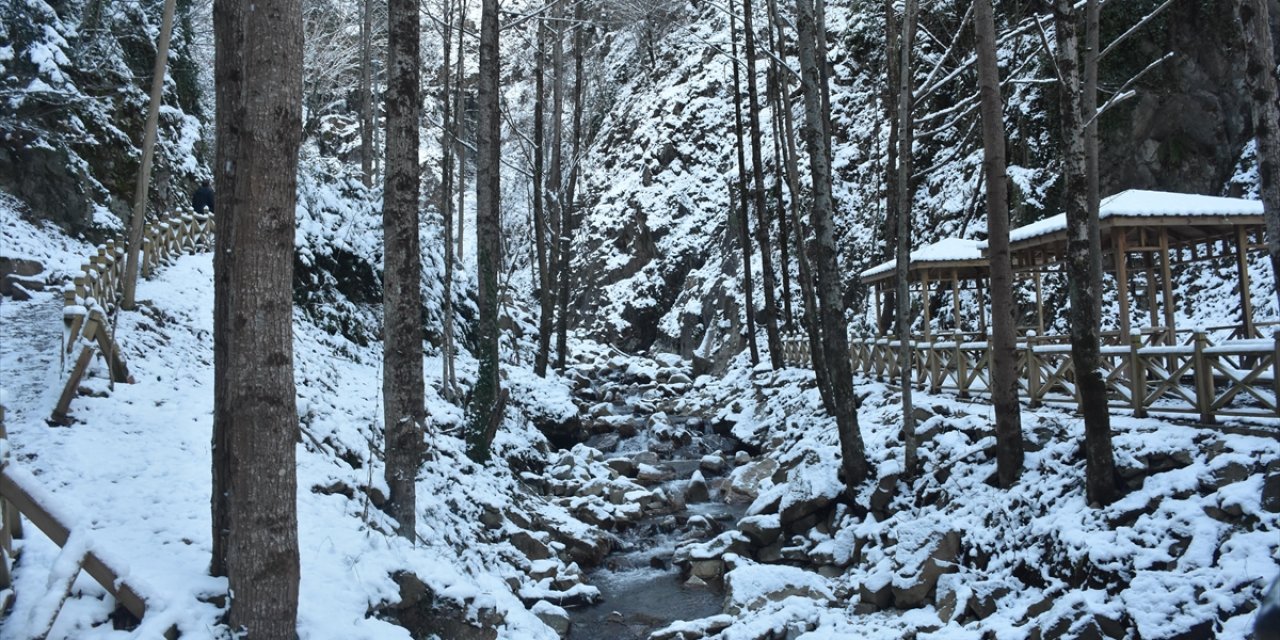 Gümüşhane'deki Çağlayandibi Şelalesi Tabiat Parkı Beyaza Büründü
