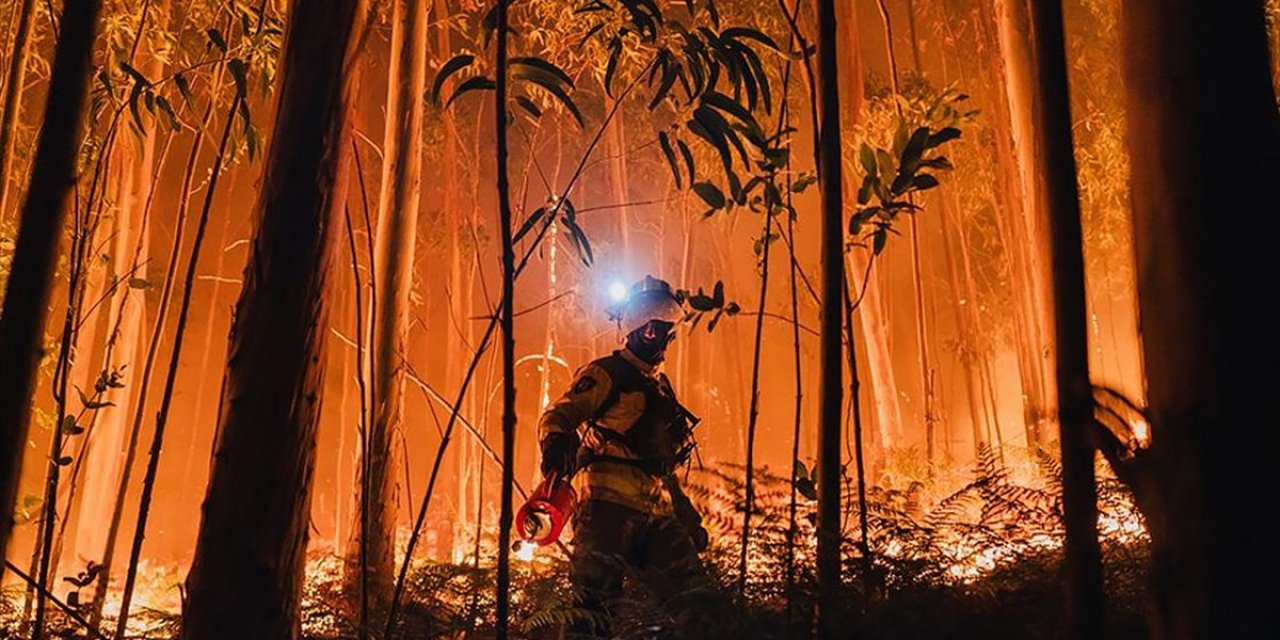 AB Ormanları 2025'teki Yangınlarda Kayıtlardaki En Büyük Kaybı Yaşadı