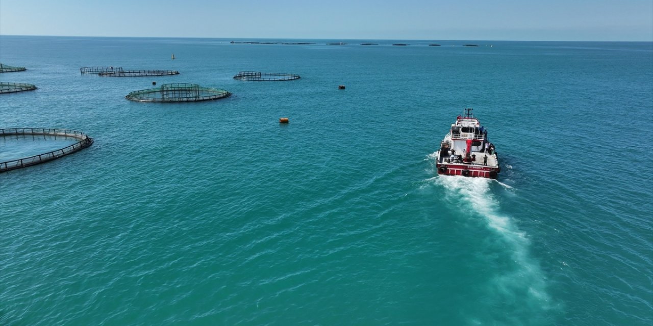 Türkiye'de 2025'te Balık Üretiminde Cumhuriyet Tarihinin Rekoru Kırıldı