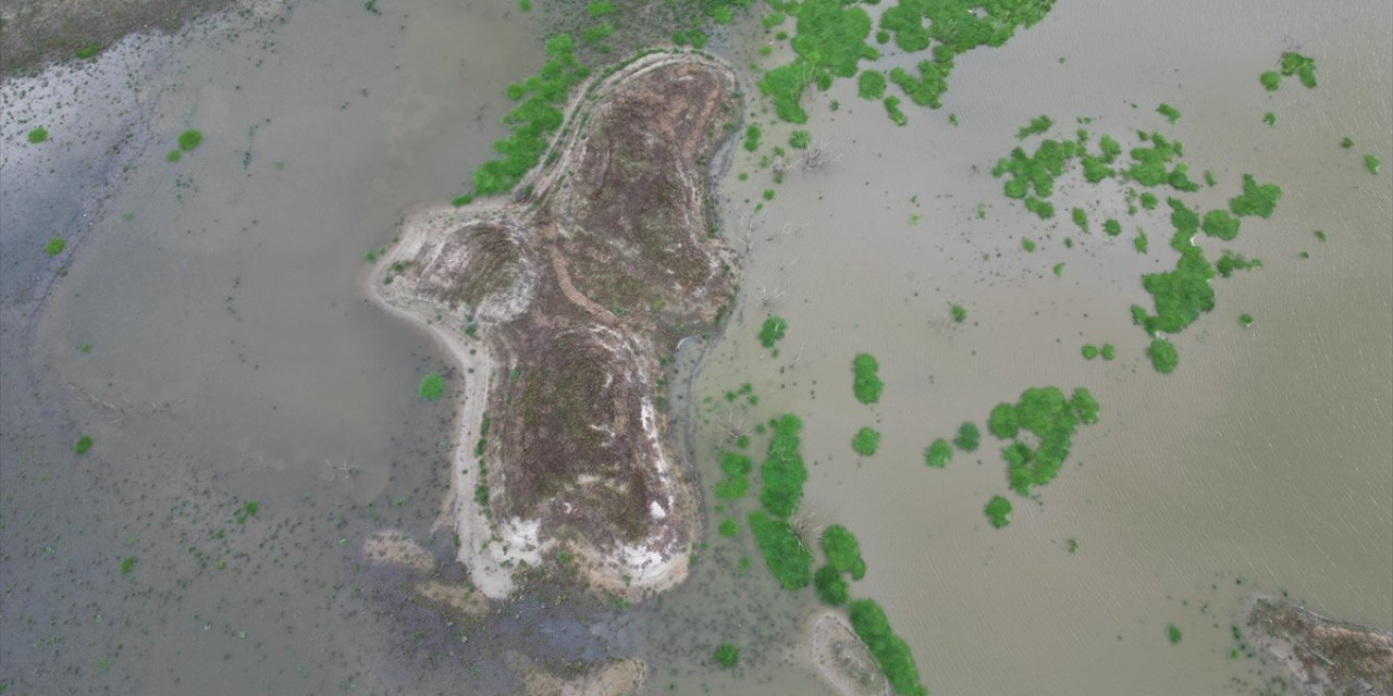 Tekirdağ'daki Türkmenli Göleti'nde Su Kritik Seviyeye Geriledi