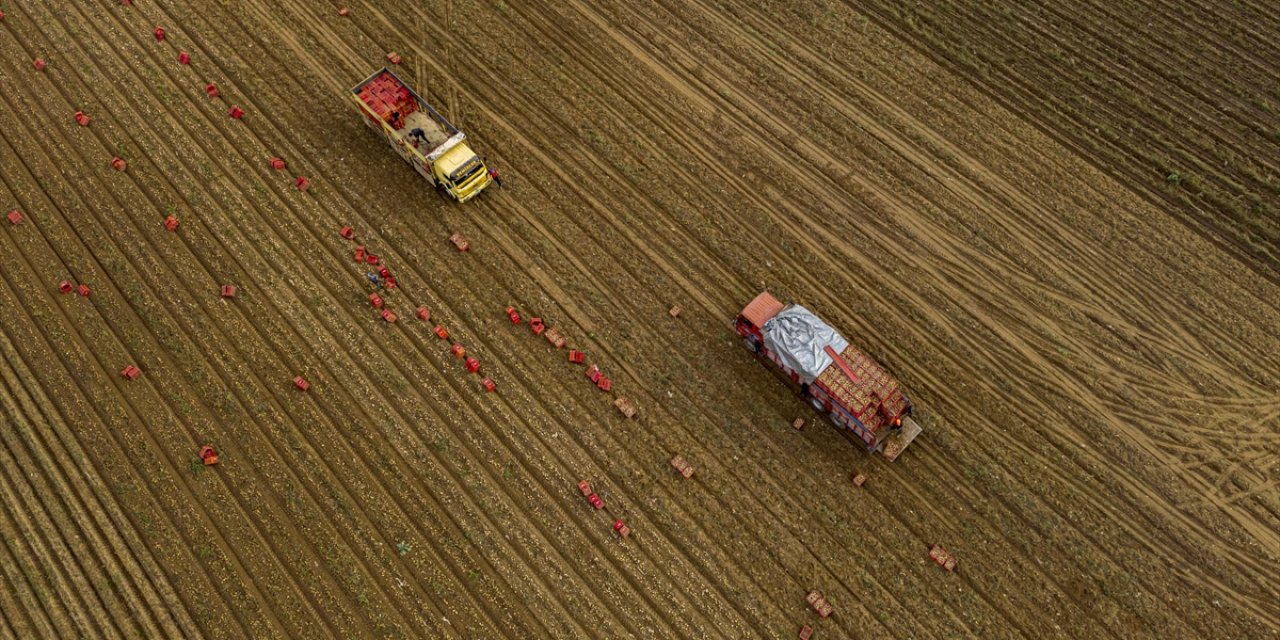 Tarım Sezonunun İlk 2 Ayında Yağışlar Yüzde 19 Azaldı