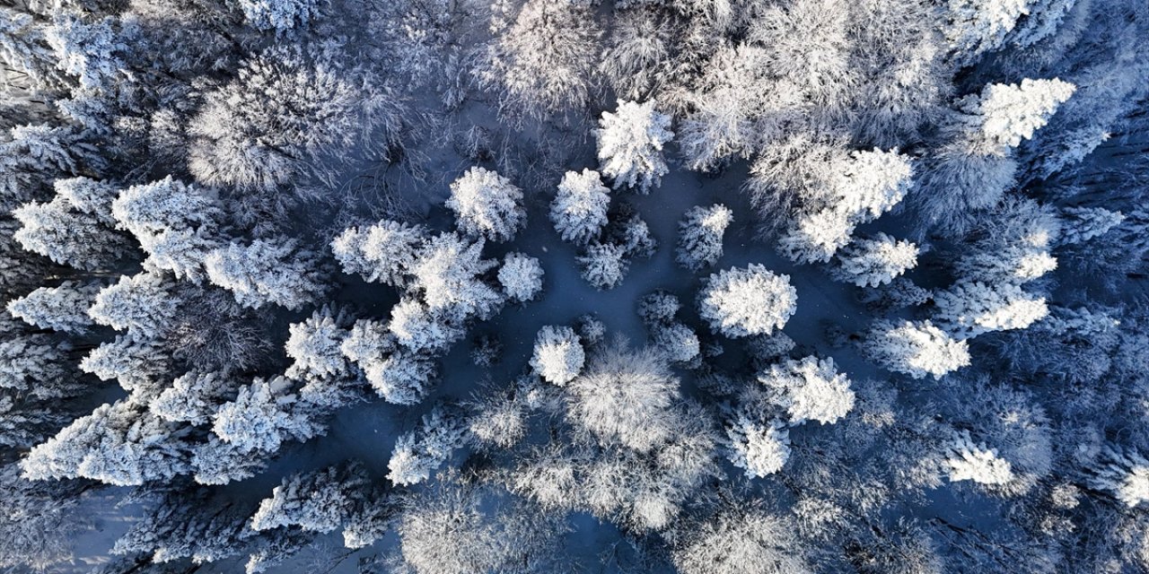 Beyaz Örtüyle Kaplanan Çam Dağı Havadan Görüntülendi
