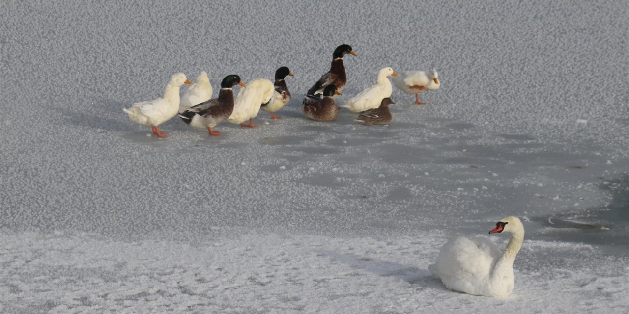 Sivas'ta Kızılırmak'ın Bazı Kısımları Buz Tuttu
