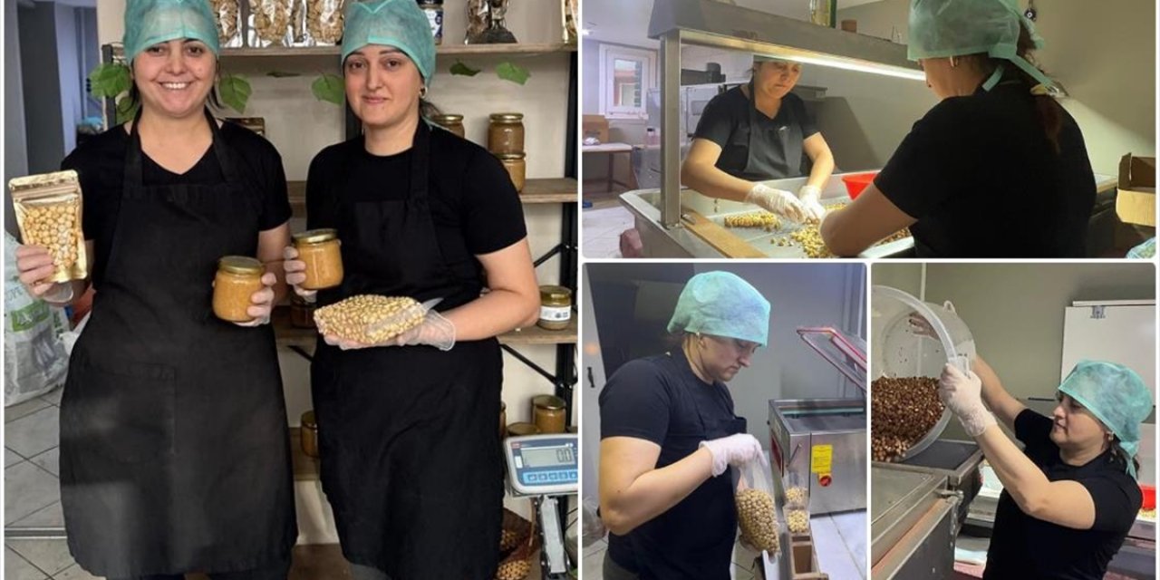 Giresunlu Kadın Girişimci Devlet Desteğiyle Fındık İşleme Tesisi Kurdu