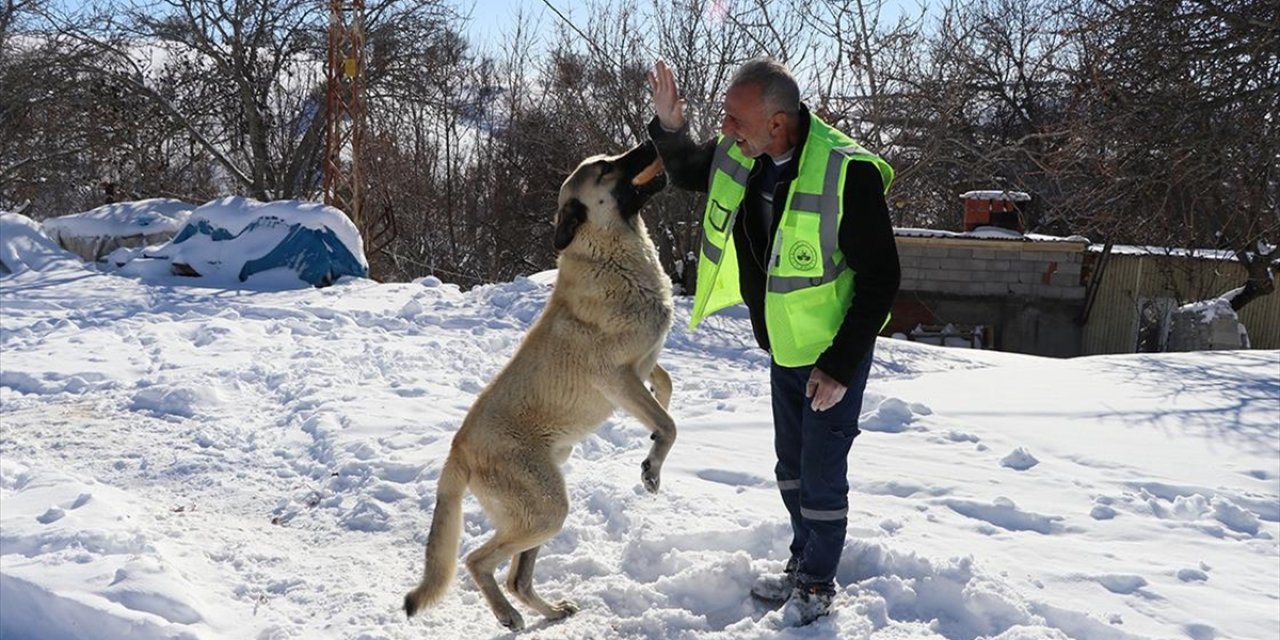 İş Makinesi Karlı Yolları Açıyor, Ekipler Sahipsiz Hayvanları Besliyor