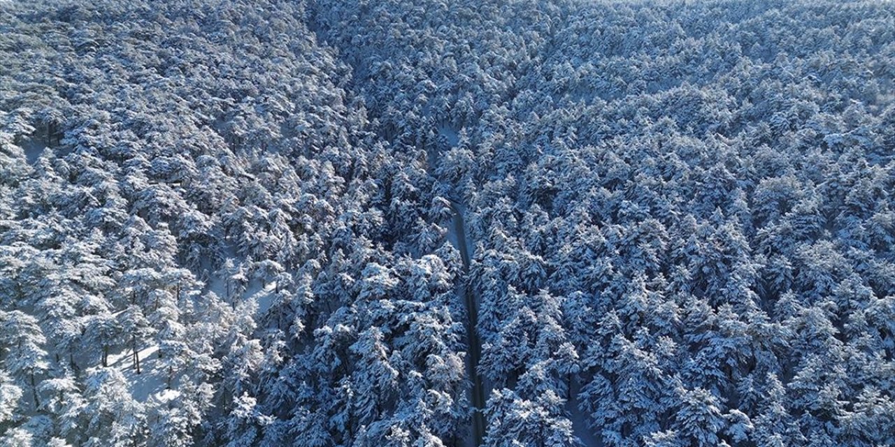 Karla Kaplanan Yozgat Çamlığı Milli Parkı Dron İle Görüntülendi