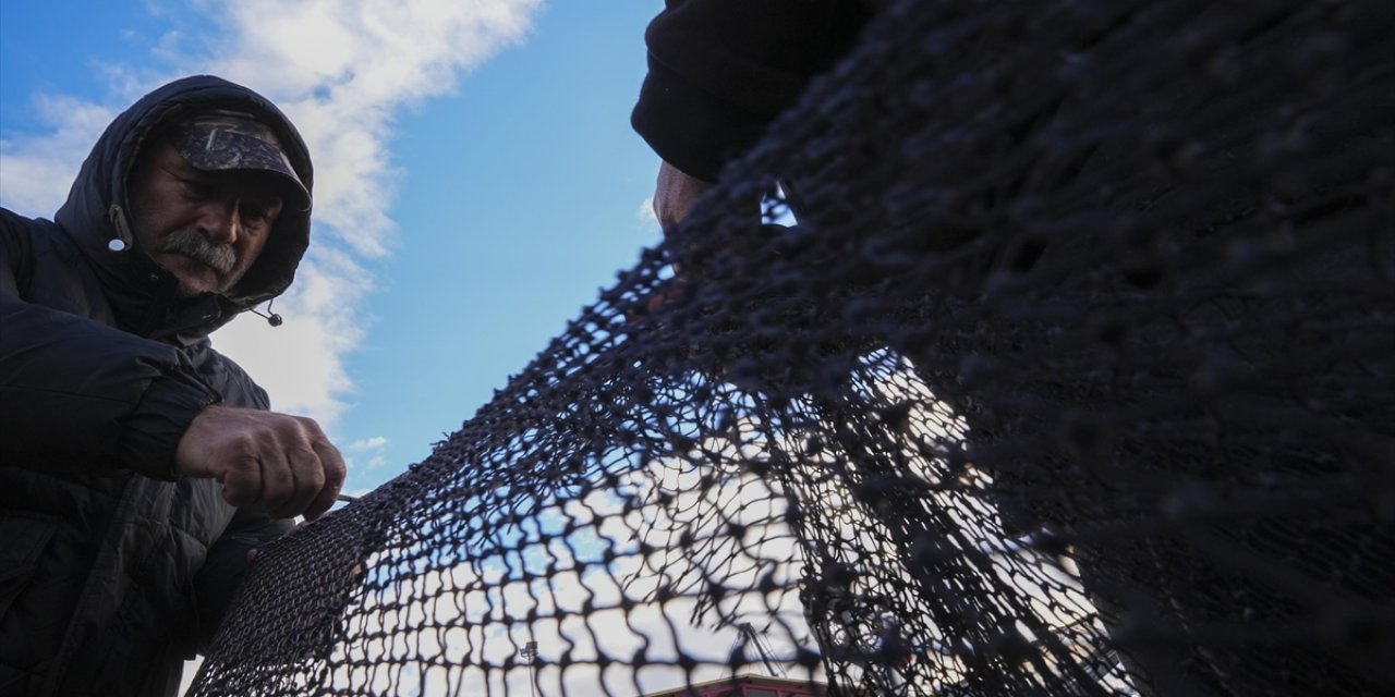 Yarısı Tamamlanan Av Sezonunda Hamsi ve Sardalya Yüz Güldürdü