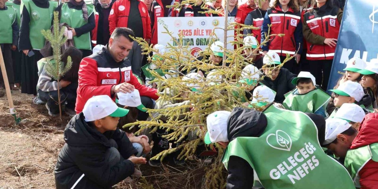 Etstur Hatıra Ormanları'nda İlk Fidanlar Toprakla Buluşturuldu