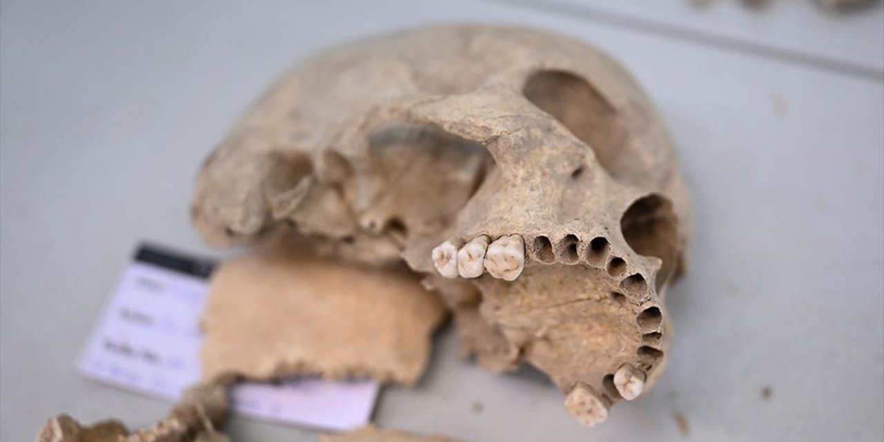 Çayönü Tepesi'nde Yaşayan İnsanların Genetik Haritası Çıkarılıyor