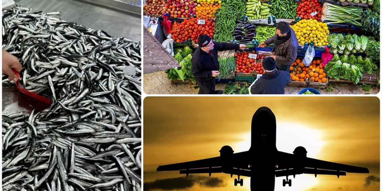 Aralık 2025'te Fiyatı En Fazla Artan Ürün "Taze Balık", En Çok Düşen "Hava Yoluyla Yolcu Taşımacılığı" Oldu