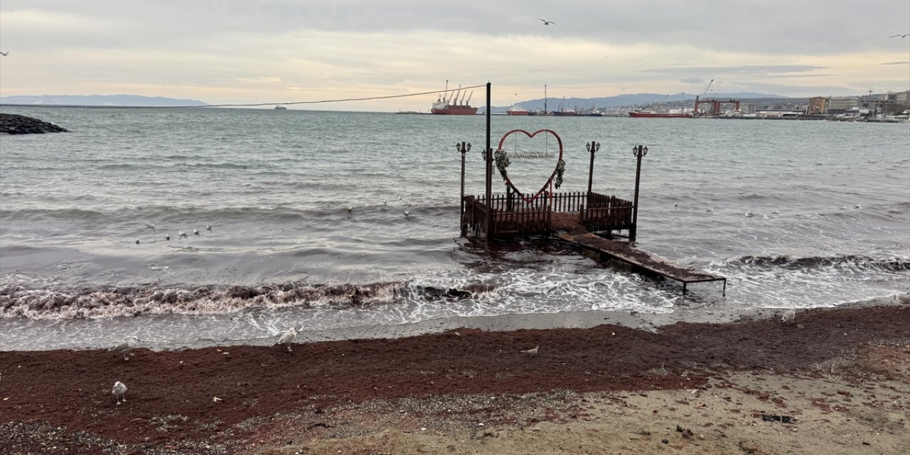 Tekirdağ'da Lodos Nedeniyle Sahilde Kırmızı Yosun Birikti