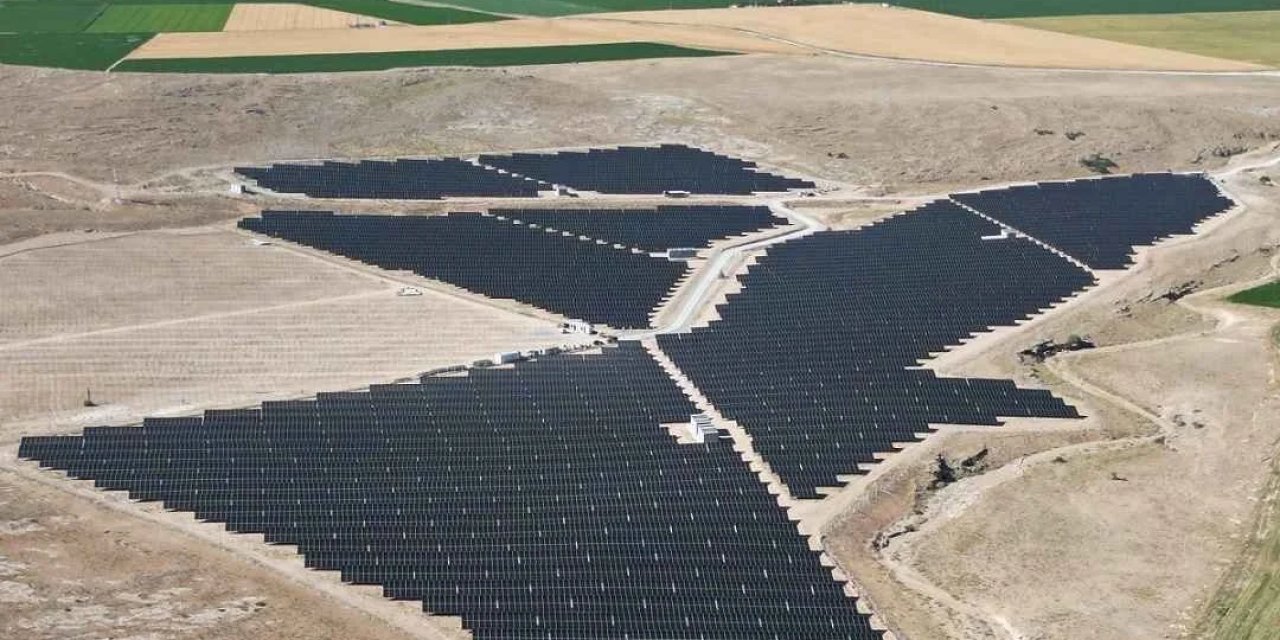 CW Enerji'den Doğaya Nefes Aldıran Bir Proje Daha