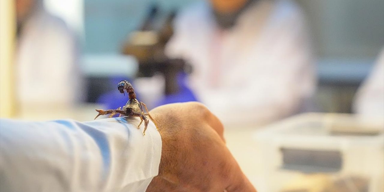Dicle Üniversitesine Hibe Edilen Akrepler Akademik Çalışmalarda Kullanılacak
