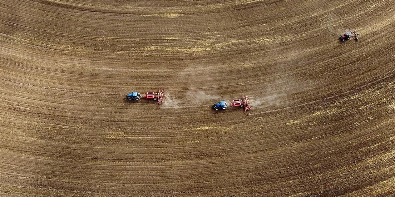 Tarım Sayımının Yüzde 90'ı Tamamlandı, Sonuçlar Yılın İkinci Yarısında Açıklanacak