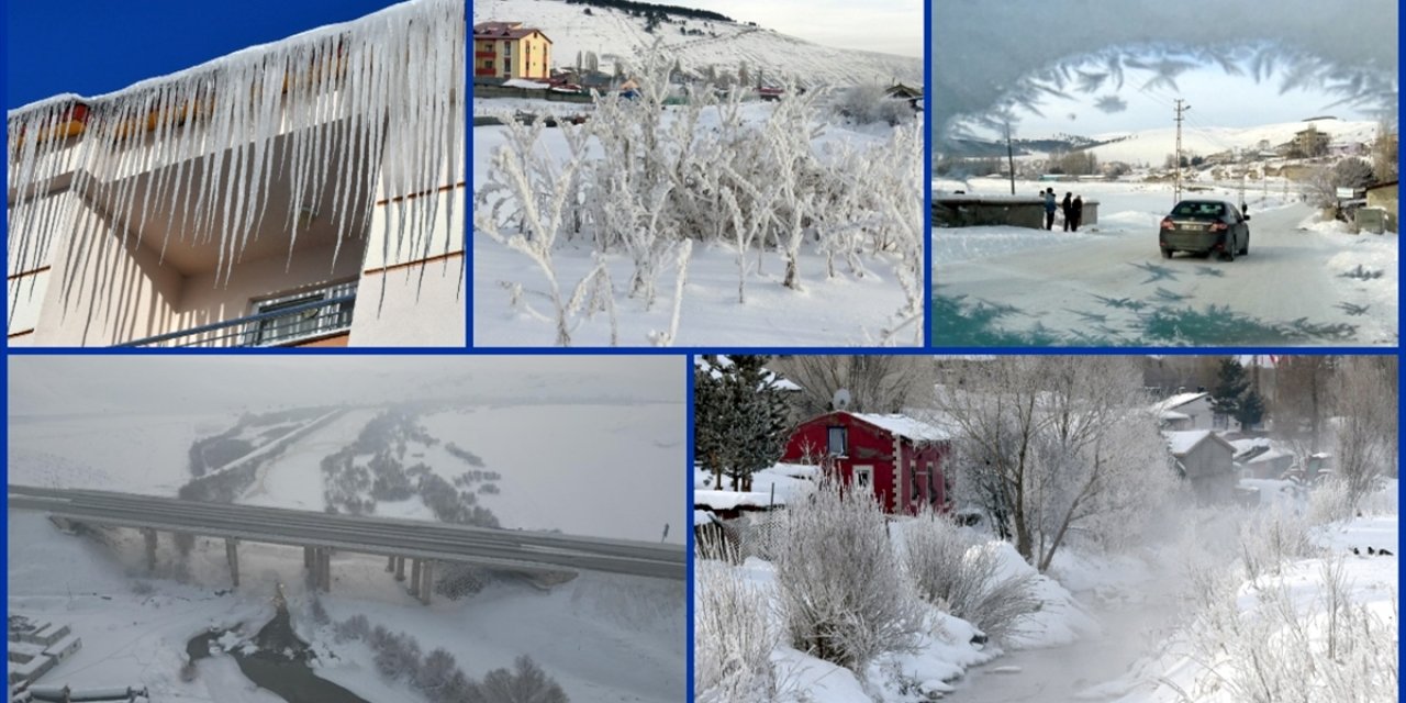 Doğu Anadolu'da Sulak Alanlar Dondu, Bitki ve Ağaçları Kırağı Kapladı