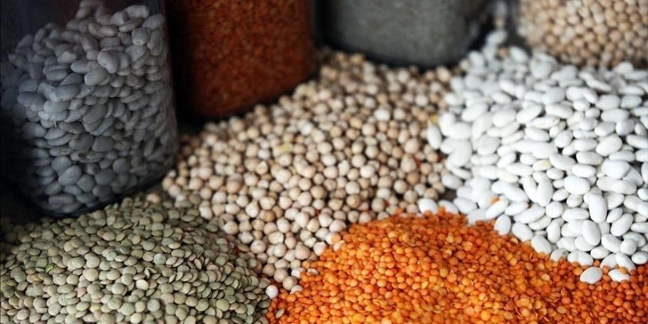 Türkiye'nin Hububat İhracatı Geçen Yıl 12,3 Milyar Doları Aştı