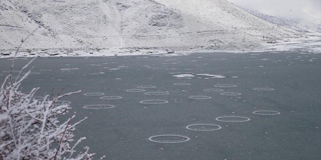 Çat Barajı'ndaki "Yüzen Adalar" Buz Tuttu