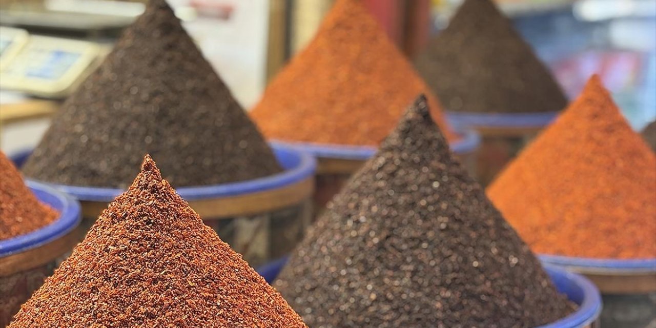 Türkiye'den Geçen Yıl 95 Ülkeye 14,1 Milyon Dolarlık Pul Biber İhracatı Yapıldı