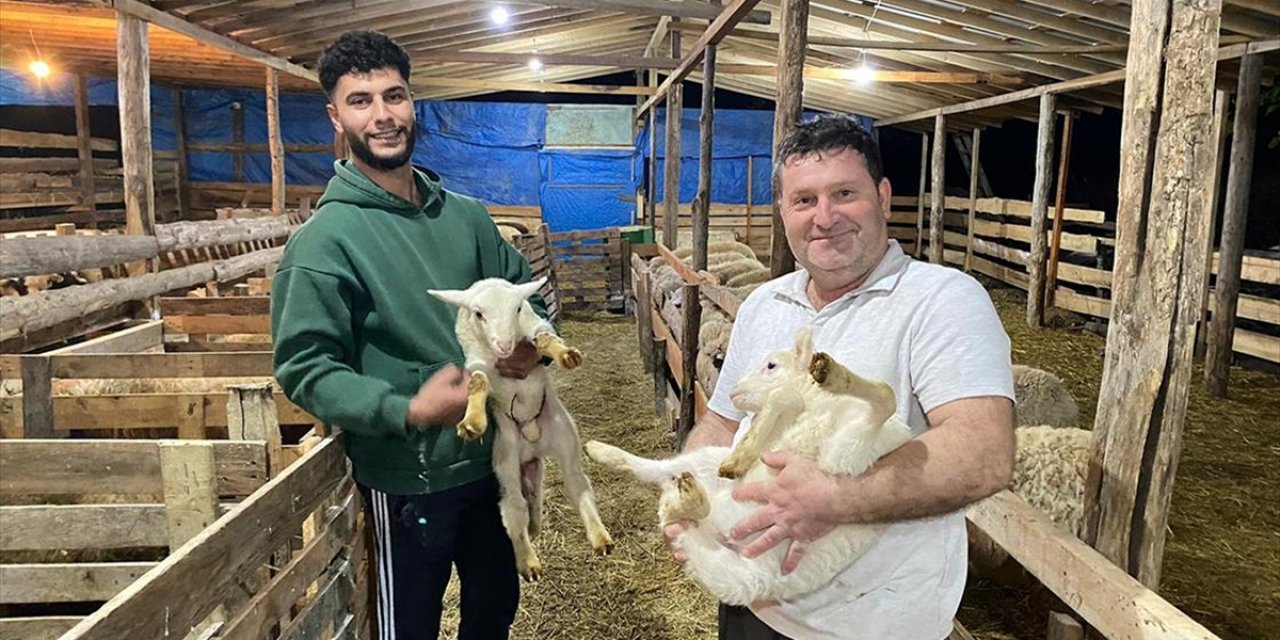 Sinop'ta İki Girişimci Çocukluk Hayallerini Genç Çiftçi Projesi İle Gerçekleştirdi