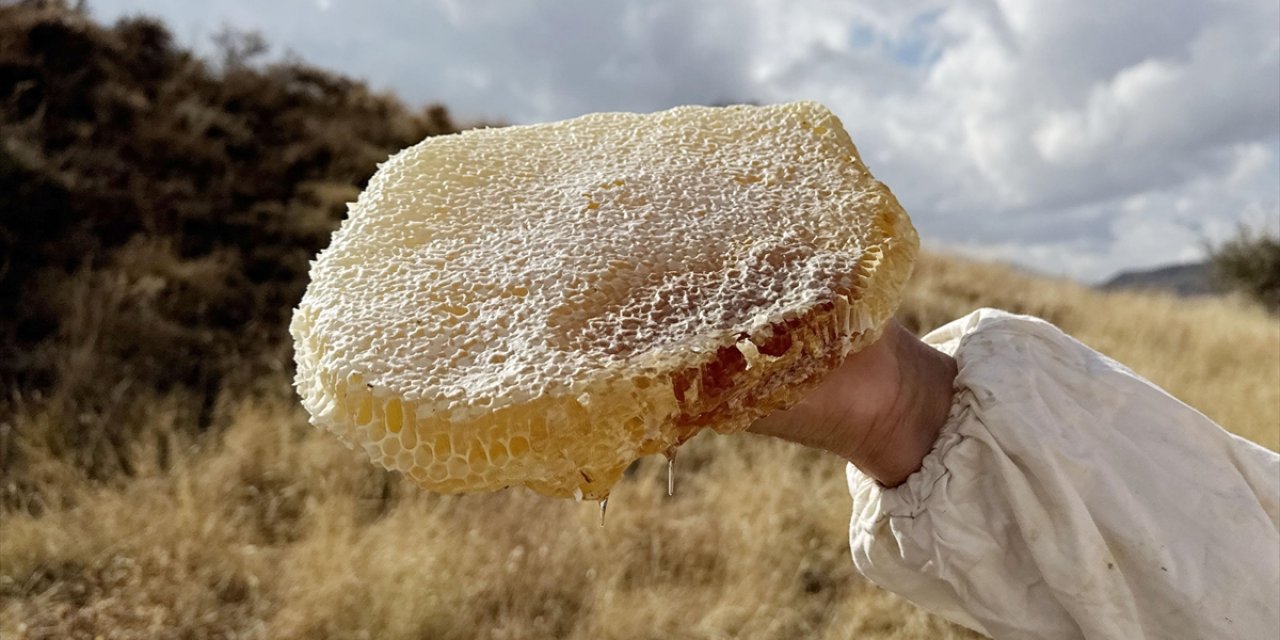 Ilgaz'da Satılan Bal Dünyanın En Pahalı Balı Olarak Guinness Rekorlar Kitabı'na Girdi