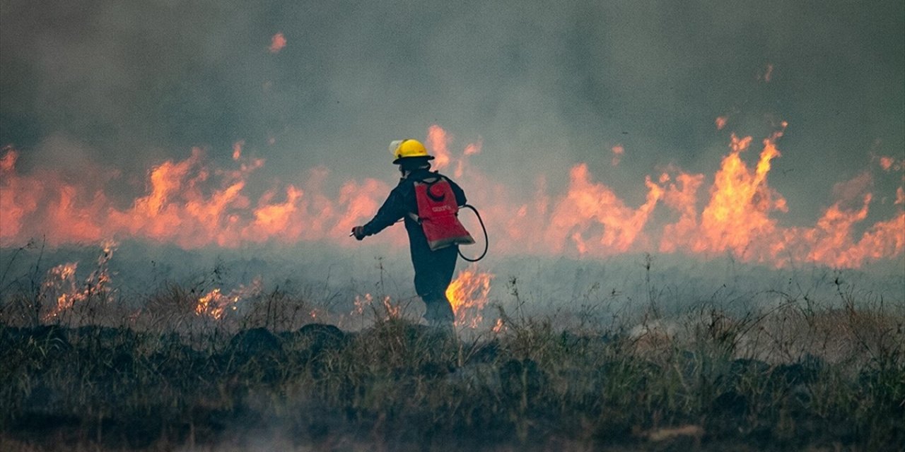 Arjantin'in Patagonya Bölgesindeki Orman Yangınlarında Yaklaşık 12 Bin Hektarlık Alan Kül Oldu