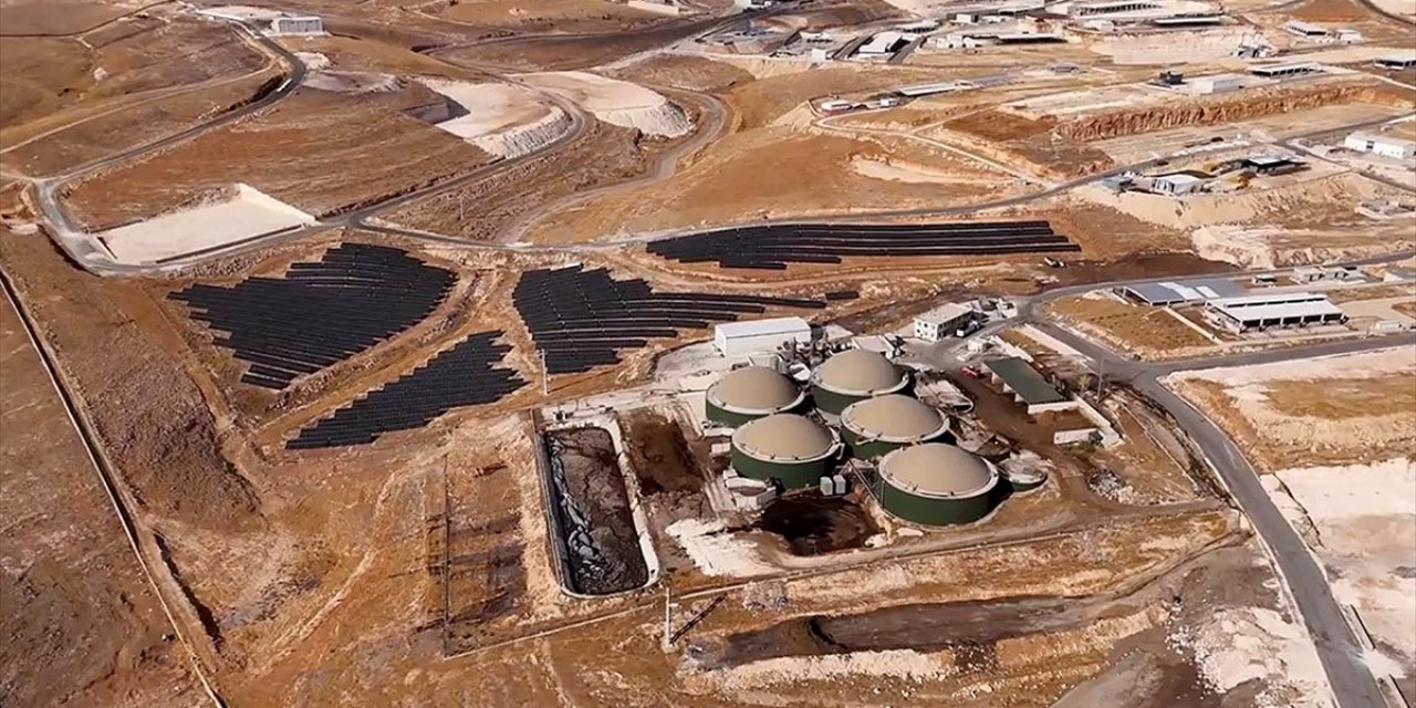 Şanlıurfa'ya 2 Milyar Liralık Besi Organize Tarım Bölgesi Yatırımı