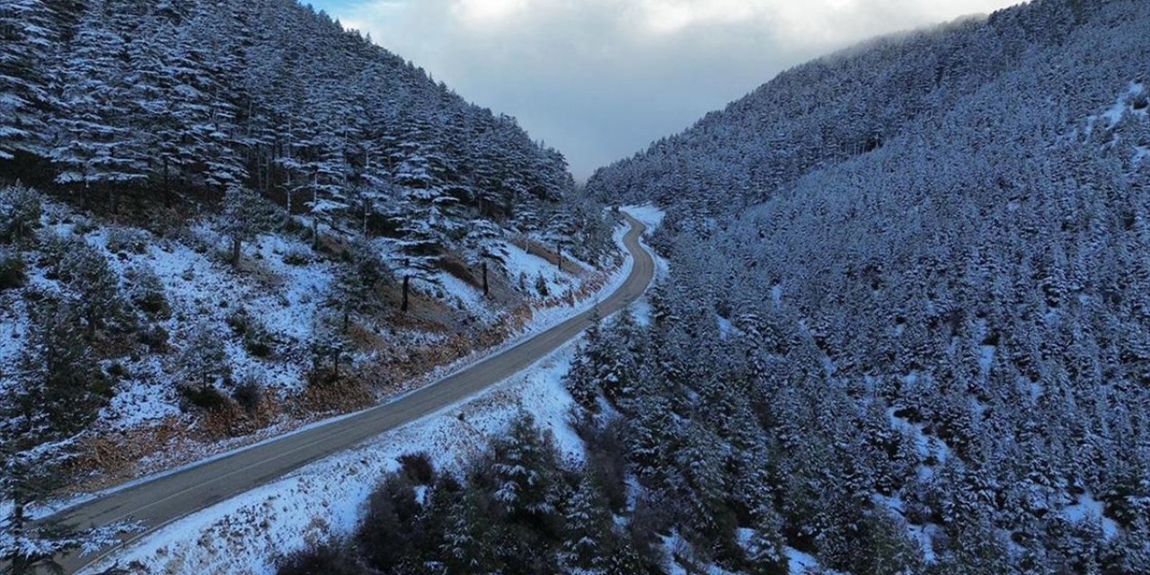 Kaş'ta Karla Kaplanan Orman Güzel Görüntü Oluşturdu