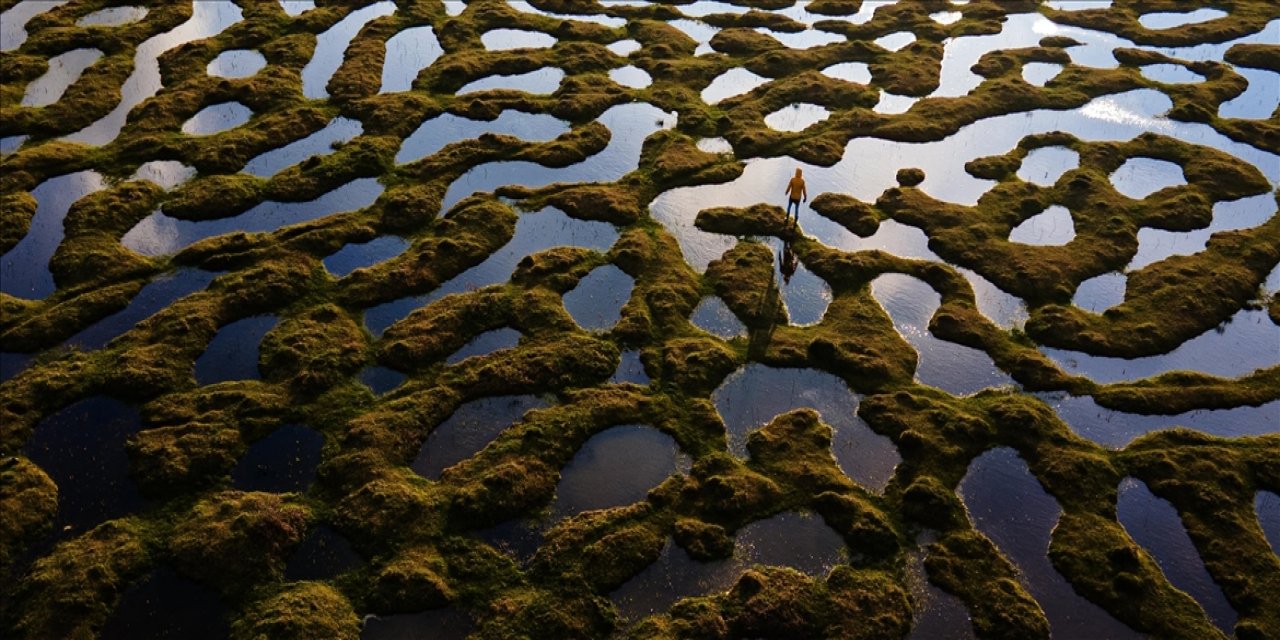 Deniz Bilimciler, AA'nın "Yılın Kareleri" Oylamasına Katıldı