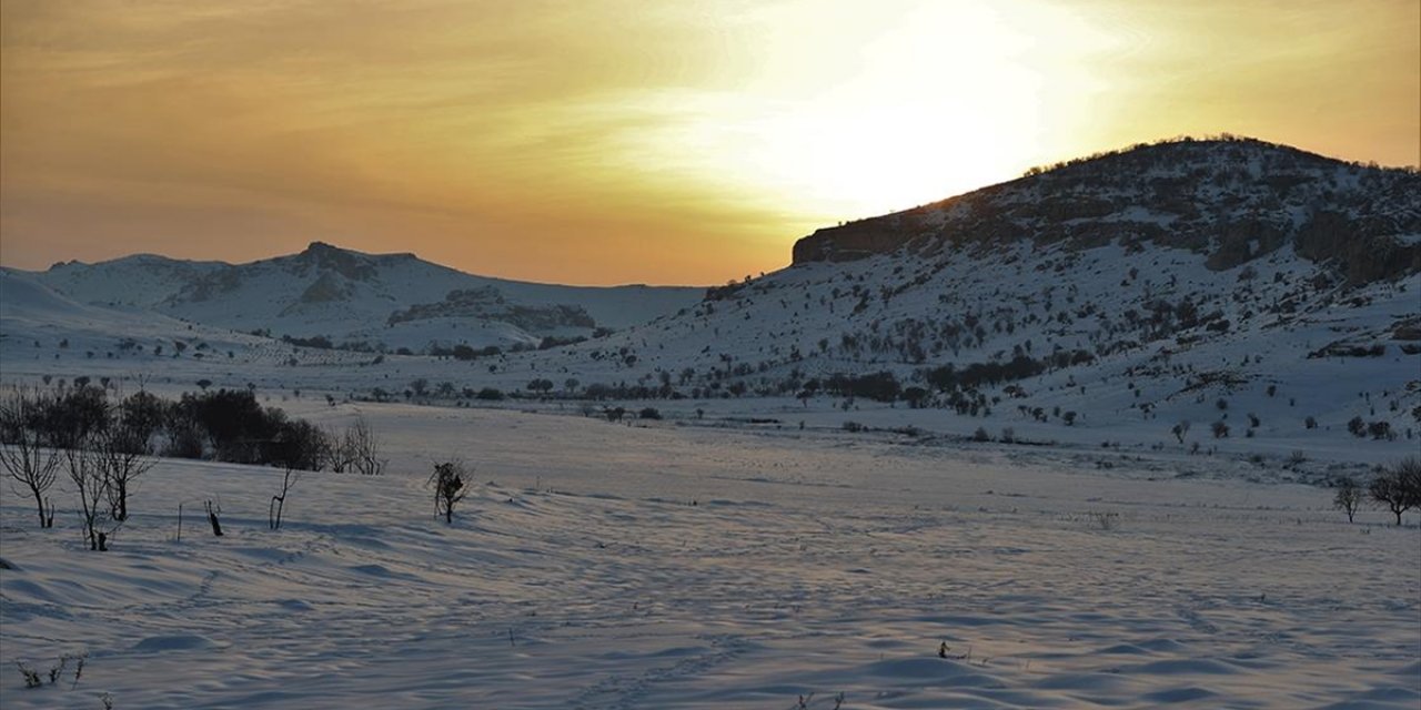 Güneydoğu'da Etkili Olan Kar Yağışı Çiftçiyi Sevindirdi