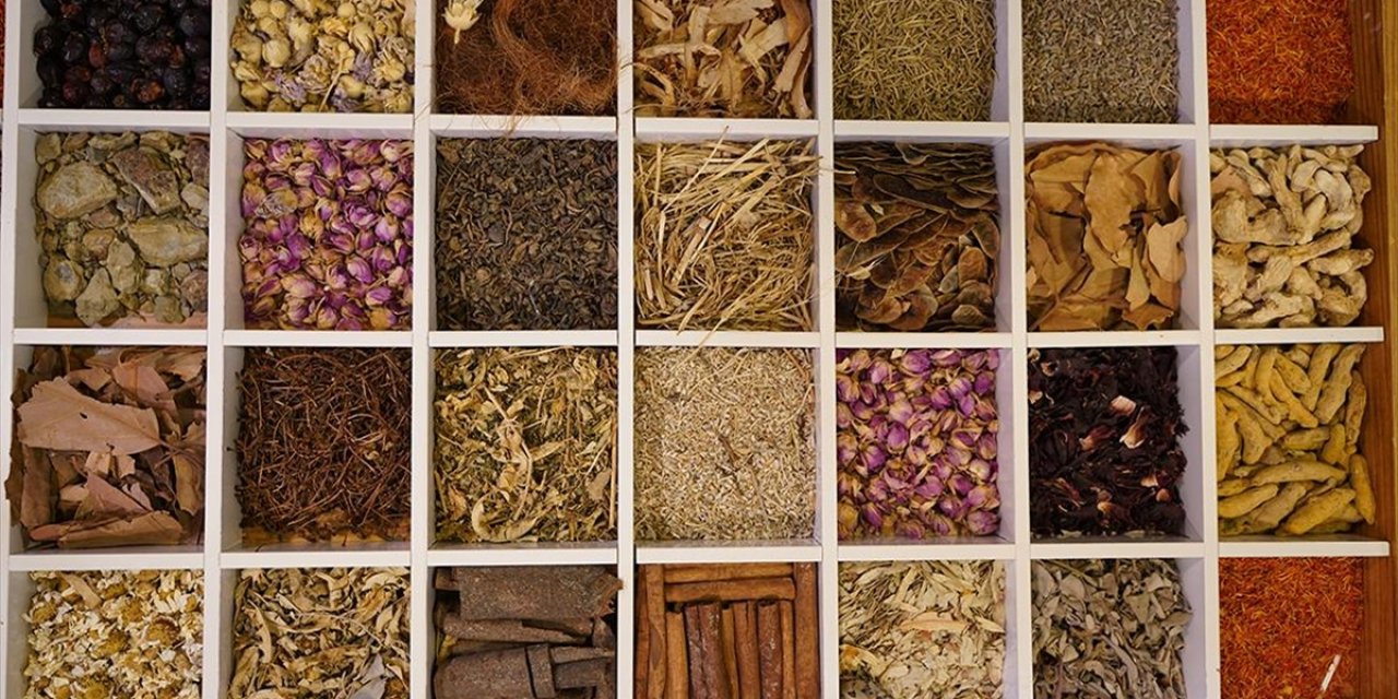 Güneydoğu Anadolu'nun Hububat, Bakliyat ve Yağlı Tohumlar İhracatı 2025'te Yüzde 3,6 Arttı