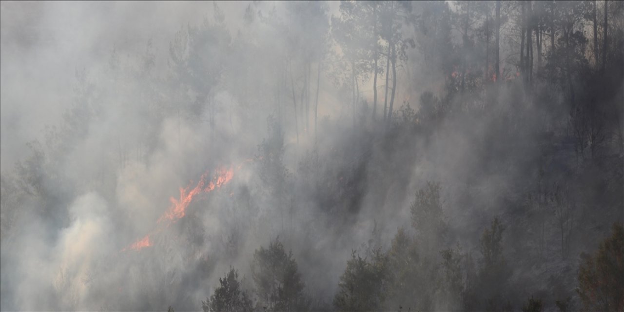 Orman Yangınlarının Hava Kirliliğine Etkisi Tahmin Edilenden Daha Fazla