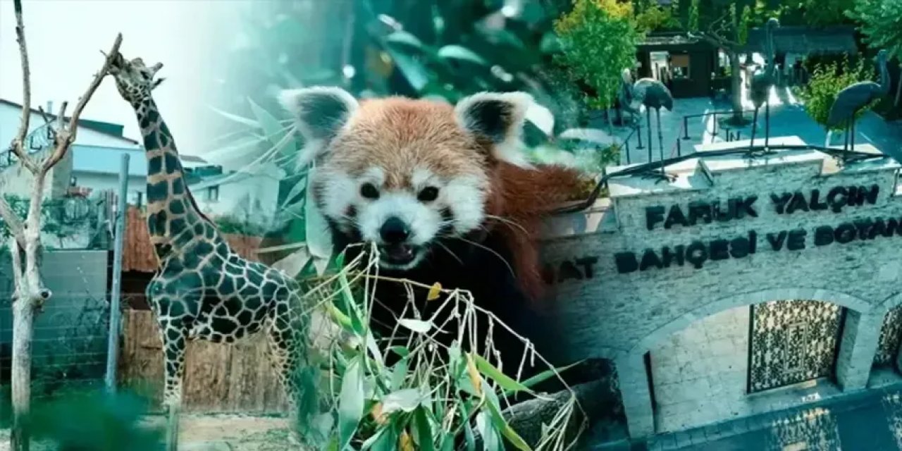 Darıca Hayvanat Bahçesi Kapılarını Kapattı: 33 Yıllık Tesis Miras Kavgasına Yenildi