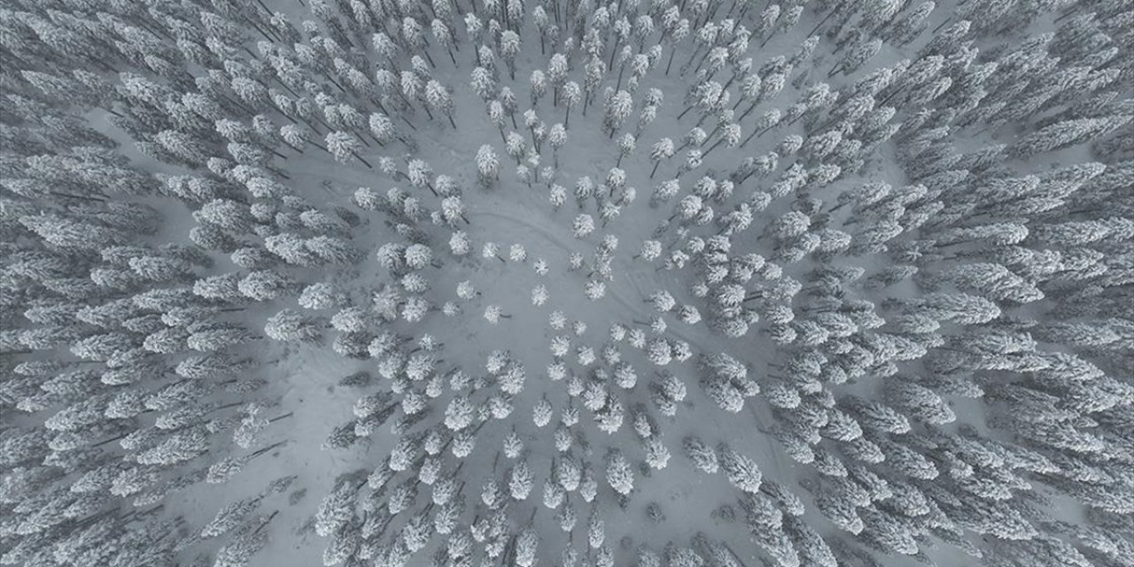 Ilgaz Dağı'nın Karlı Ormanları Dron İle Görüntülendi