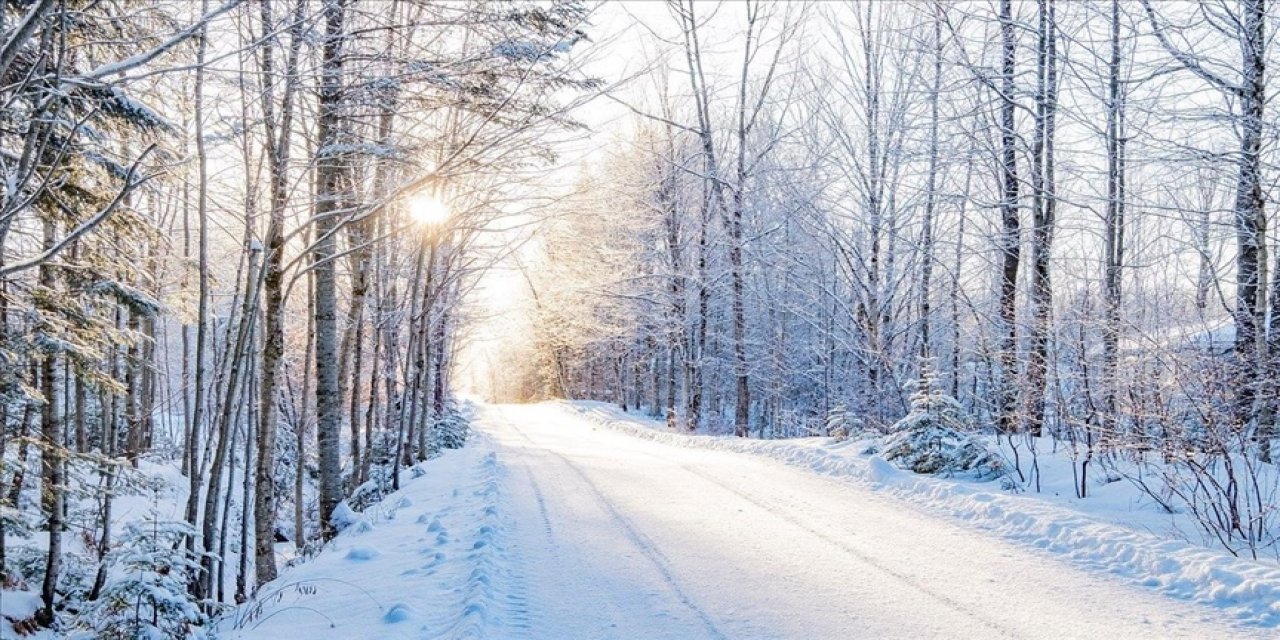 LASİD'den Yarıyıl Tatilinde Güvenli Sürüş İçin Uyarı