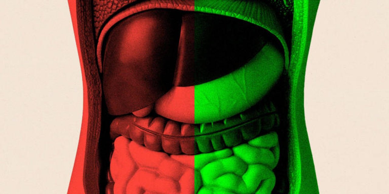 Bağırsak Sağlığı Yaşlanmayı Nasıl Etkiliyor, Doktorlar Ne Tavsiye Ediyor?