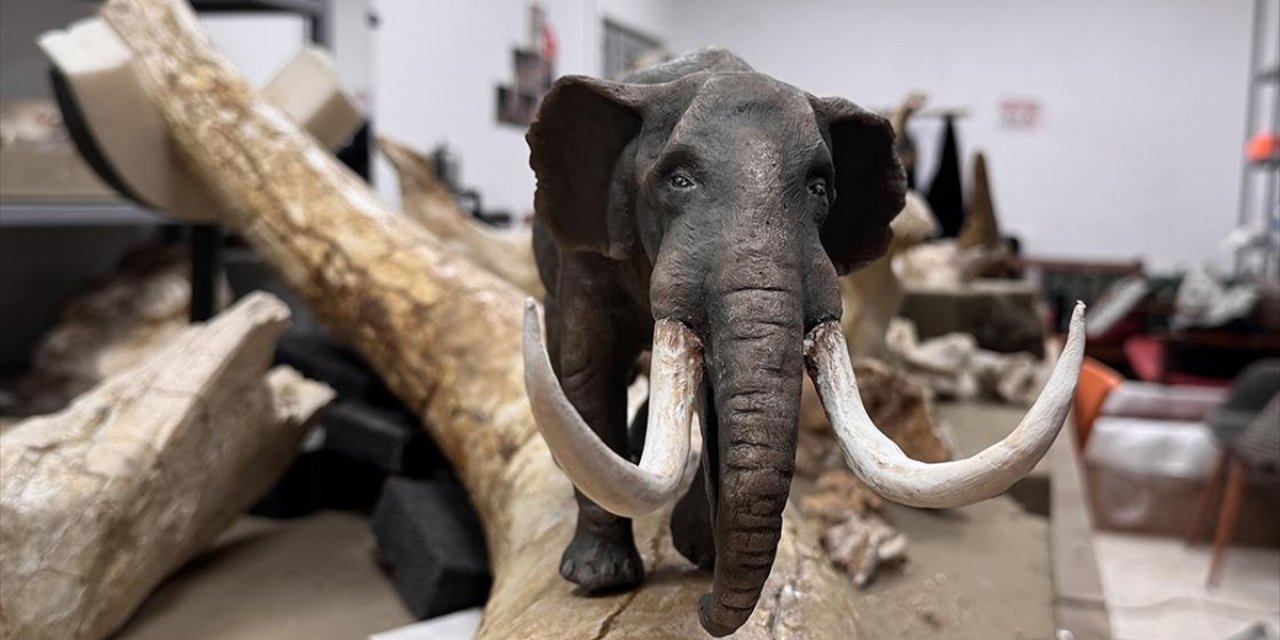 Kayseri'de Bulunan Dev Hayvan Fosillerinin Minyatürleri Yapılıyor