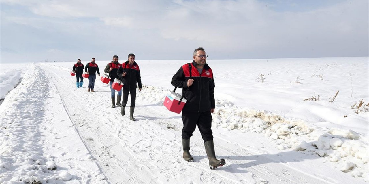 Muş'ta Veteriner Hekimler Hayvanların Sağlığı İçin Karlı Yolları Aşıyor