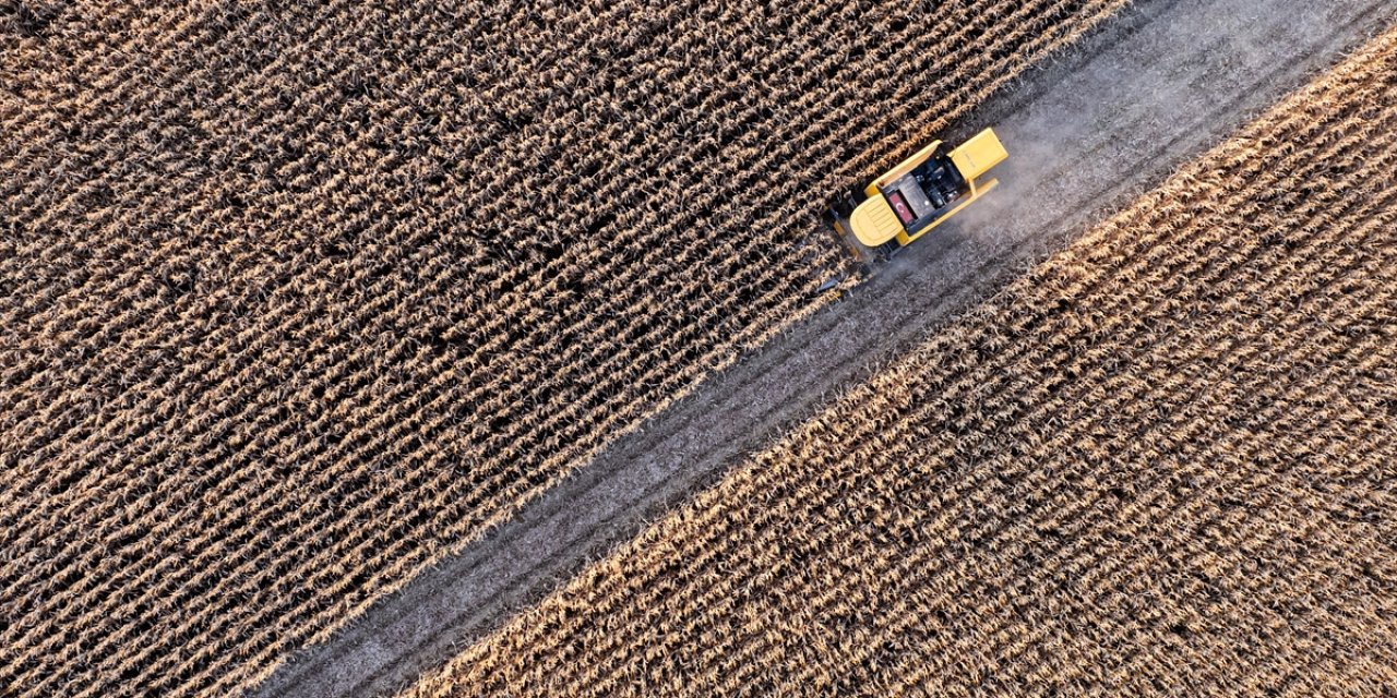 Tarımsal Girdi Fiyat Endeksi Kasım 2025'te Aylık Yüzde 1,84, Yıllık Yüzde 34,24 Arttı