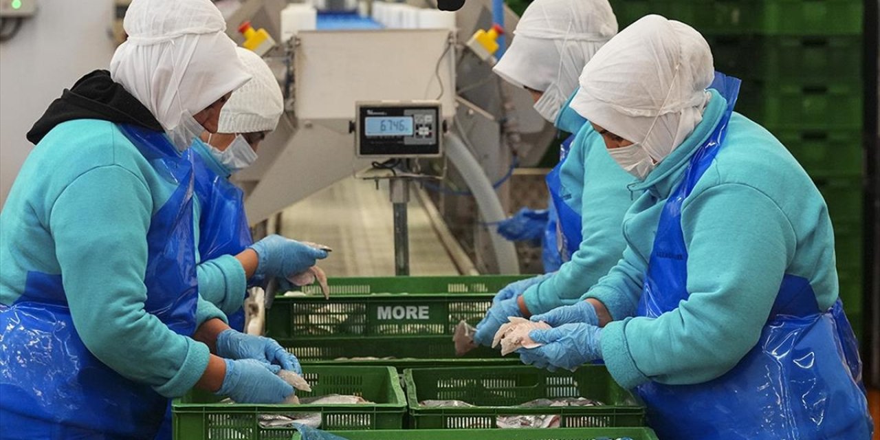 Su Ürünleri İhracatının 3'te 2'ye Yakını Egeli Firmalardan