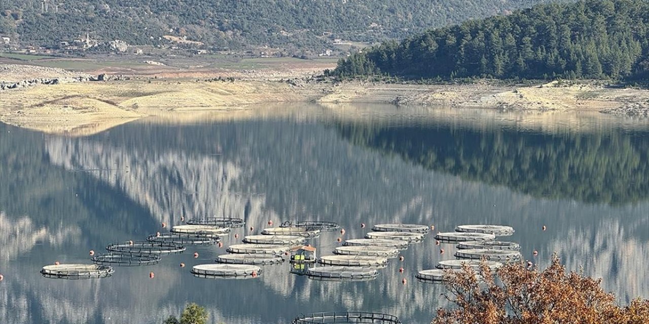 Burdur'daki Karacaören Barajı'nda Üretilen Alabalık ve Somon Yurt Dışından Alıcı Buluyor