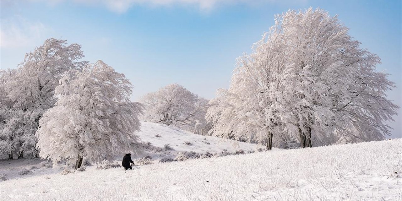 Istranca Ormanları Karla Kaplanınca Ortaya Kartpostallık Görüntüler Çıktı