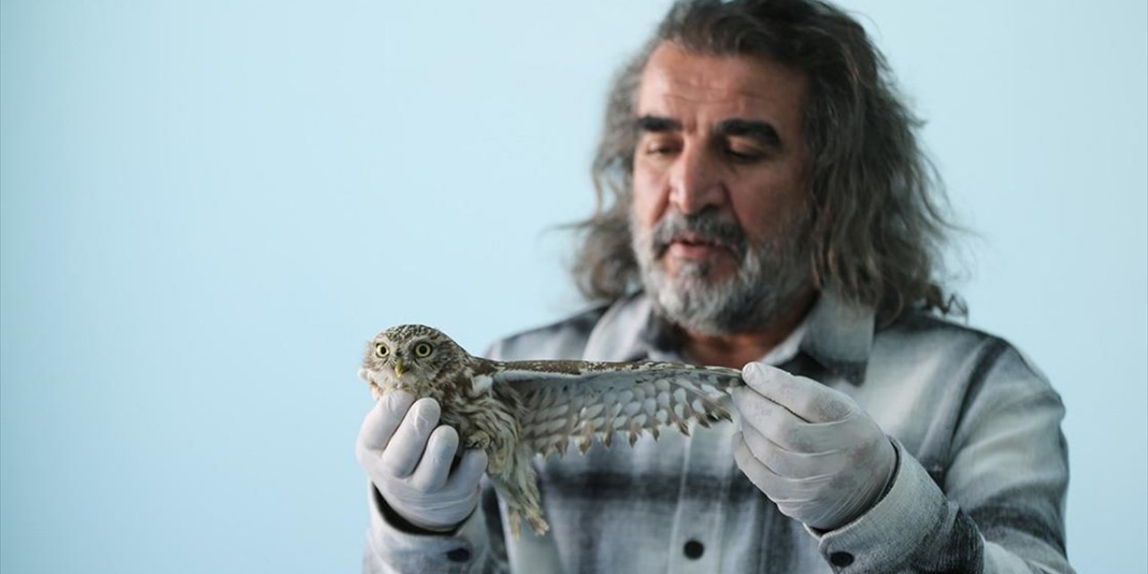 Kışın Zorlu Şartlarına Dayanamayan Yaban Hayvanları Van'daki Merkezde Misafir Ediliyor