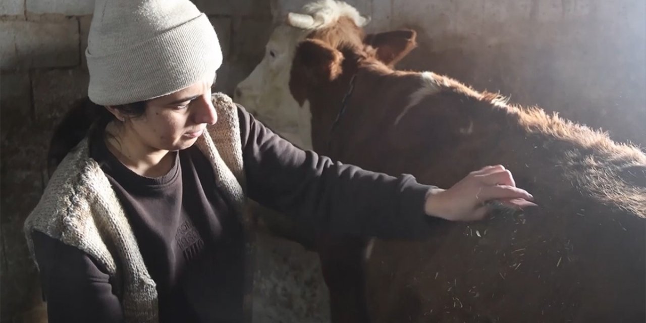 Devlet Desteğini Yatırıma Dönüştüren Iğdırlı Kadın Girişimci Hayvancılıkta Örnek Oluyor