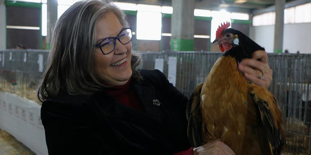 Kosgeb Desteğiyle Kurduğu İşletmede "Tavuk Doktoru" Markasıyla Kanatlı Sağlığına Odaklandı