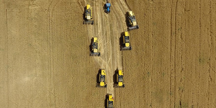 Tarımsal Desteklerde Yüzde 37 Artış Görüldü