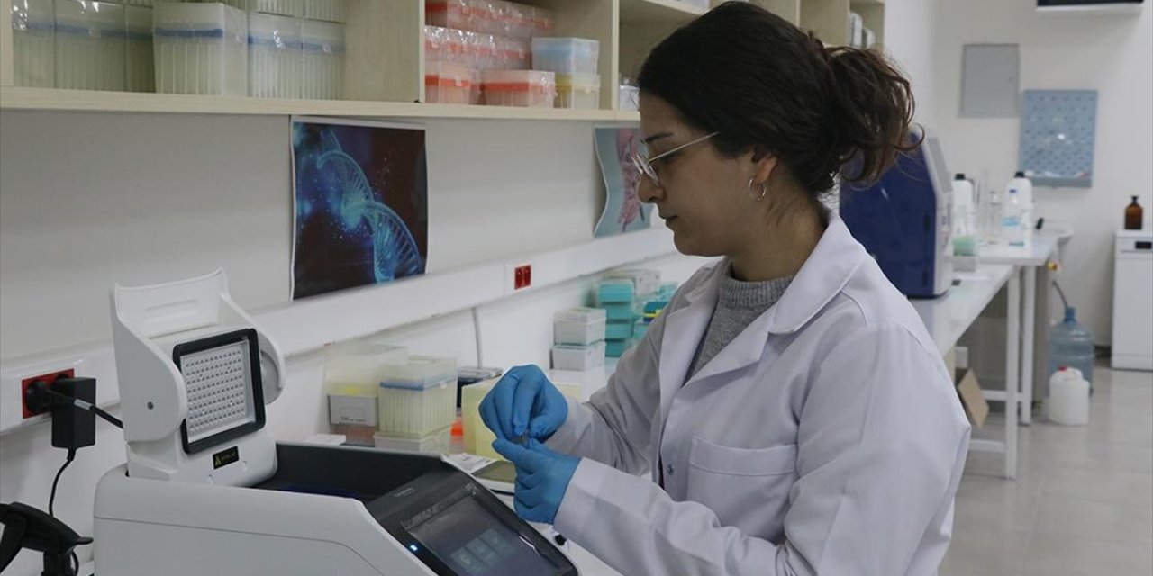 Dokuz Eylül Üniversitesi Teknoparkı Şirketleri Geçen Yıl 60 Milyon Dolarlık İhracat Yaptı