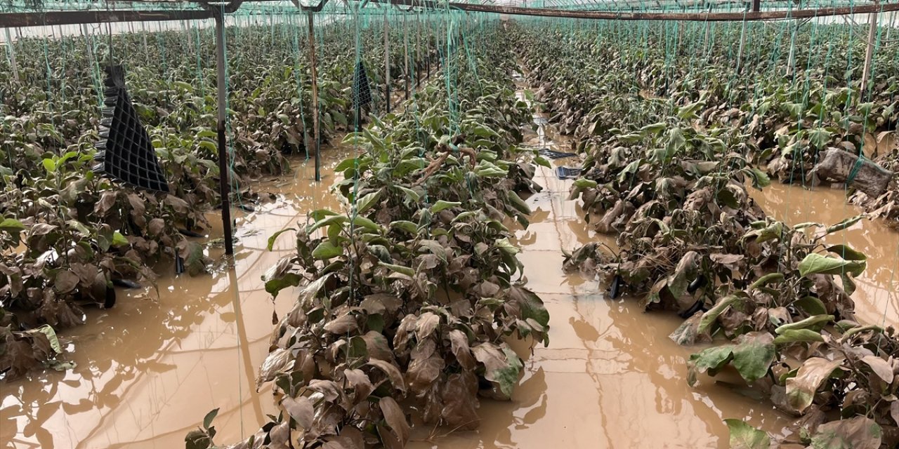 Antalya'da Sağanağın Hasara Yol Açtığı Kumluca'da Tespit Çalışmaları Başladı