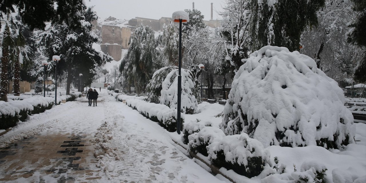 Şanlıurfa'daki Tarihi Balıklıgöl Karla Beyaza Büründü